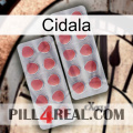 Cidala 19